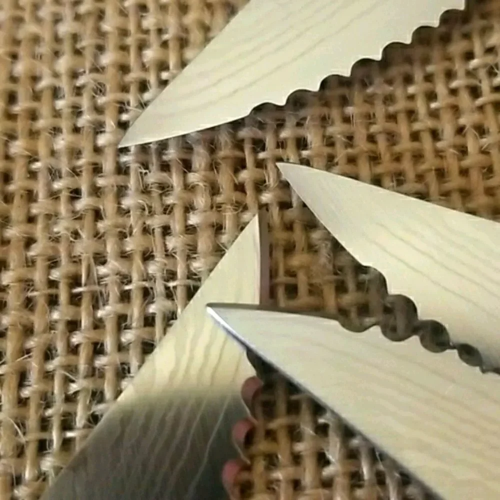 NWOT  Kitchen Knives by THE TRUSTED BUTCHER